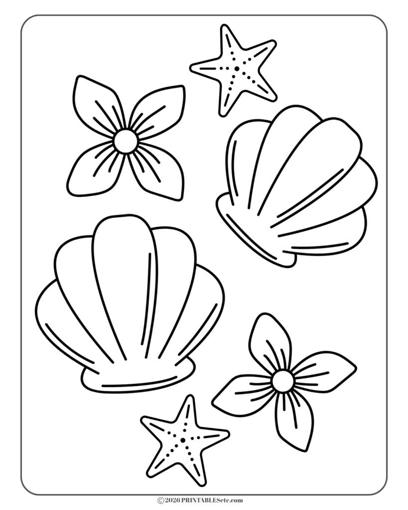 free printable coloring page in a bold and easy style with shells, starfish and flowers
